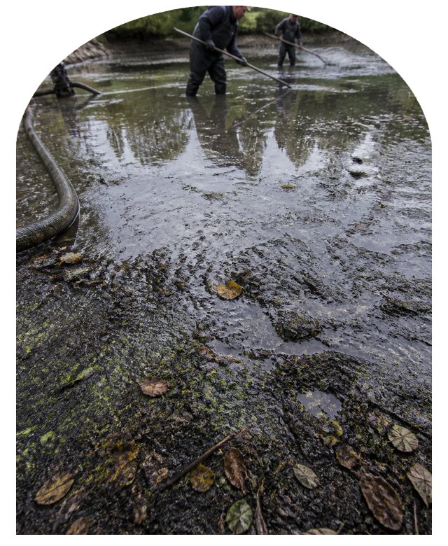 Очистка пруда в Красногорске от ила мусора и водорослей с вывозом